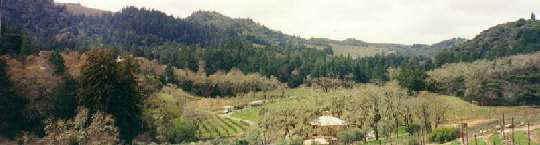 2vstrasserpanorama.jpg (14194 bytes)