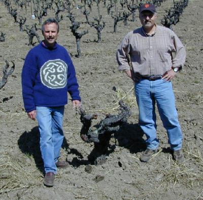 Photo of Bob Biale and Dave Pramuk